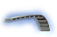 Dayco Cinghie