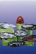 Go to Valeo Lighting